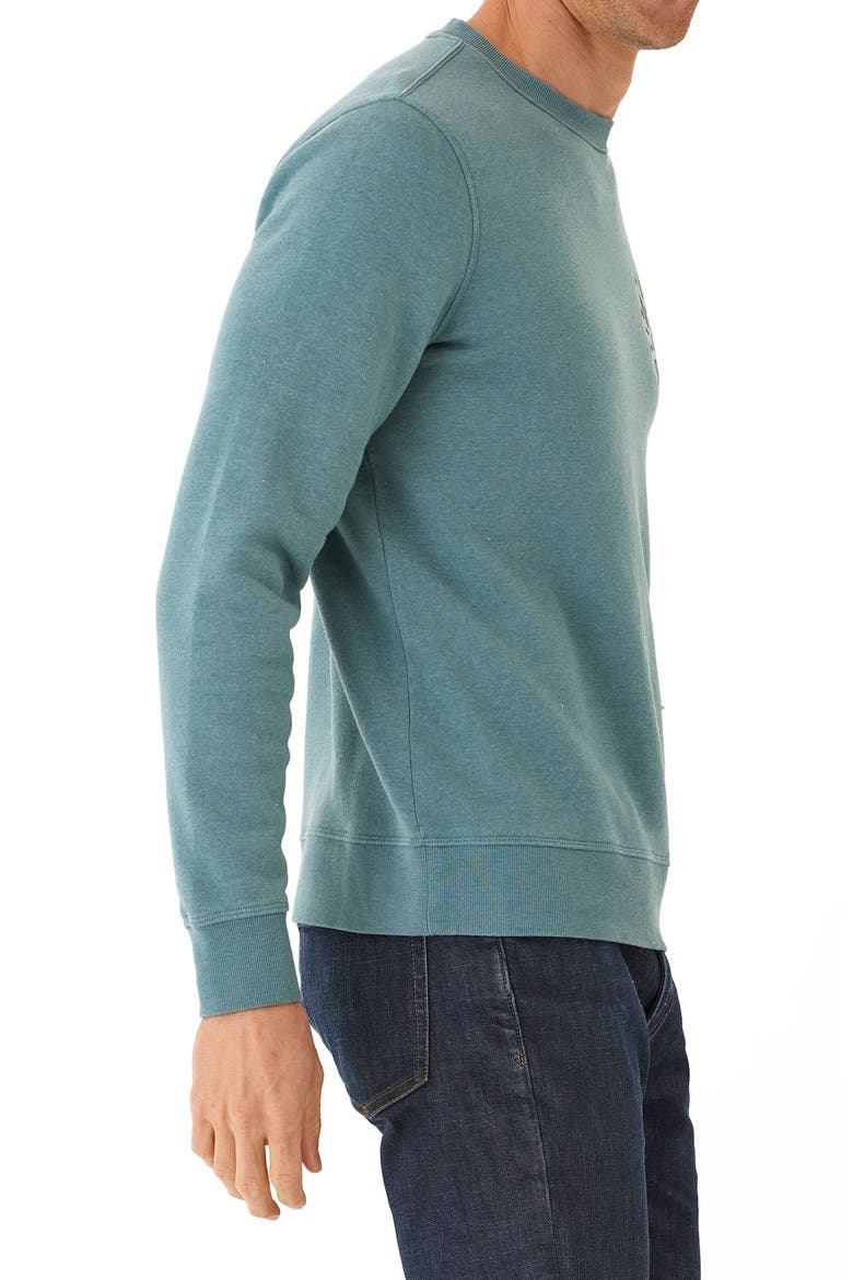 Desert Snake Mineral Wash Crewneck Sweatshirt, Alternate, color, WATRCRS