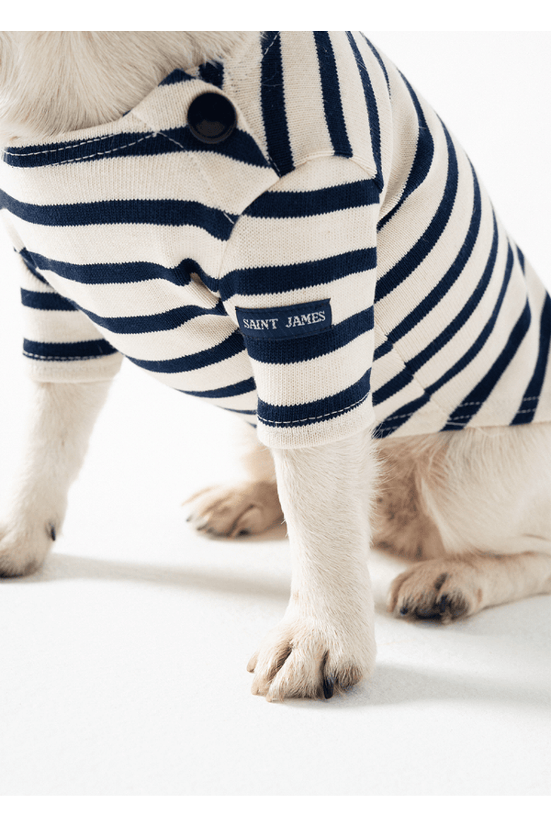 PARISIAN PUP - Authentic Breton Shirt for Dog, Alternate, color, ecru/navy