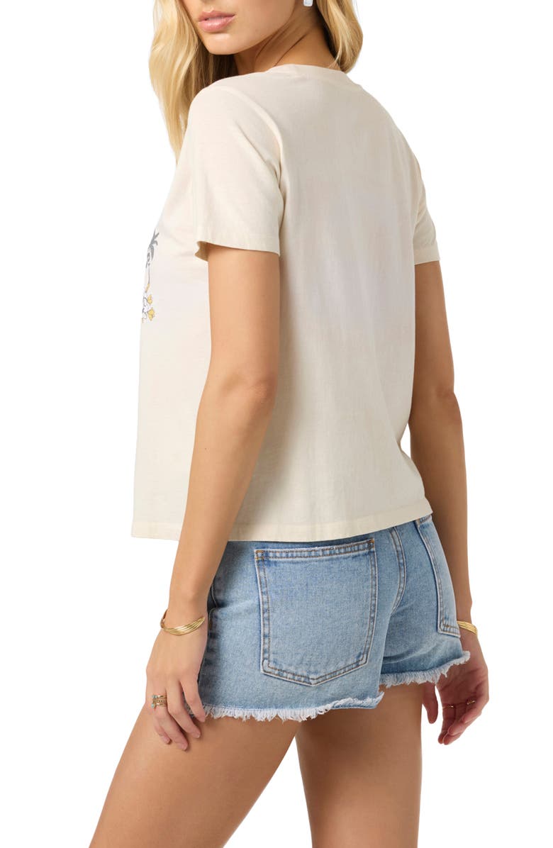 O'Neill Coastal Paradise Cotton Graphic T-Shirt, Alternate, color, 