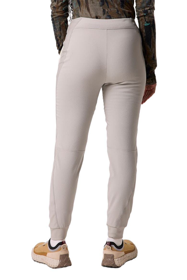 Destination Softshell Fleece Pant - Women's, Alternate, color, Goat Gray