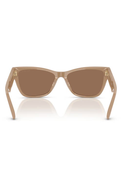 Jimmy Choo 55mm Pillow Sunglasses In Brown