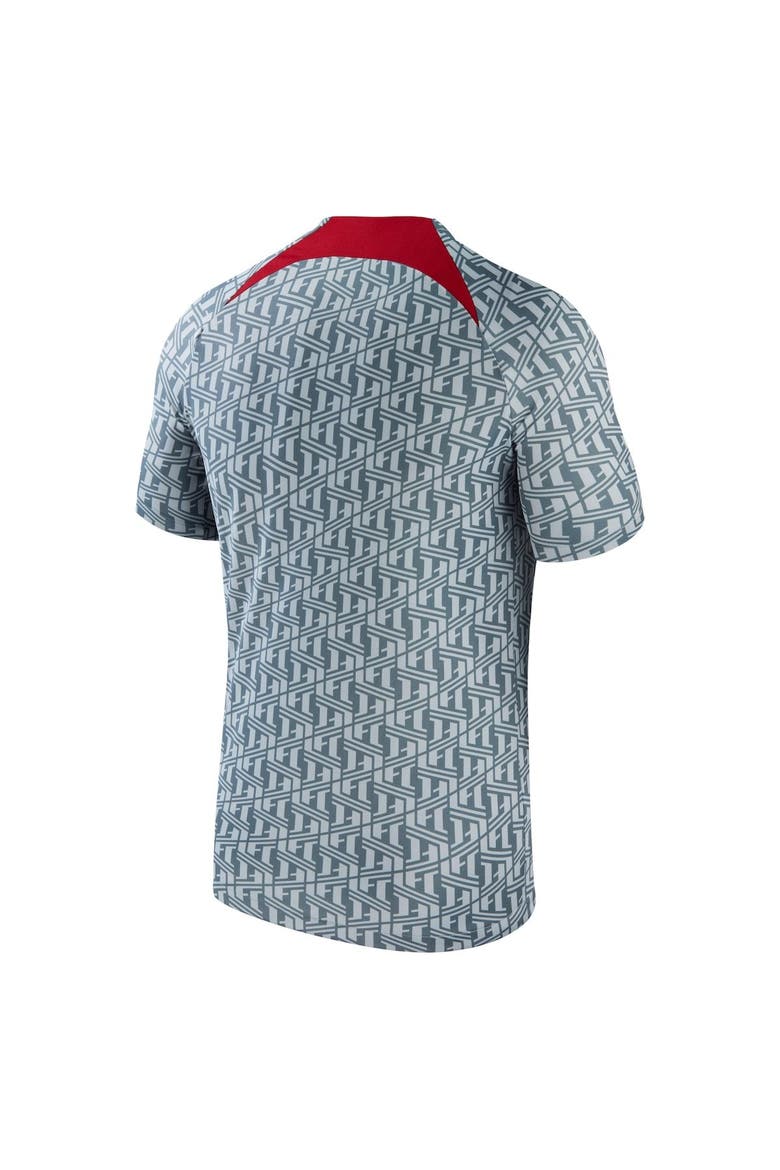 Men's Nike Gray Liverpool 2023/24 Pre-Match Performance Top, Alternate, color, Gray