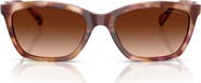 Emporio Armani 56mm Gradient Cat Eye Sunglasses