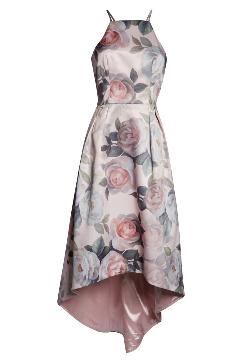 Shantal Sleeveless High/Low Gown, Alternate, color, MINK