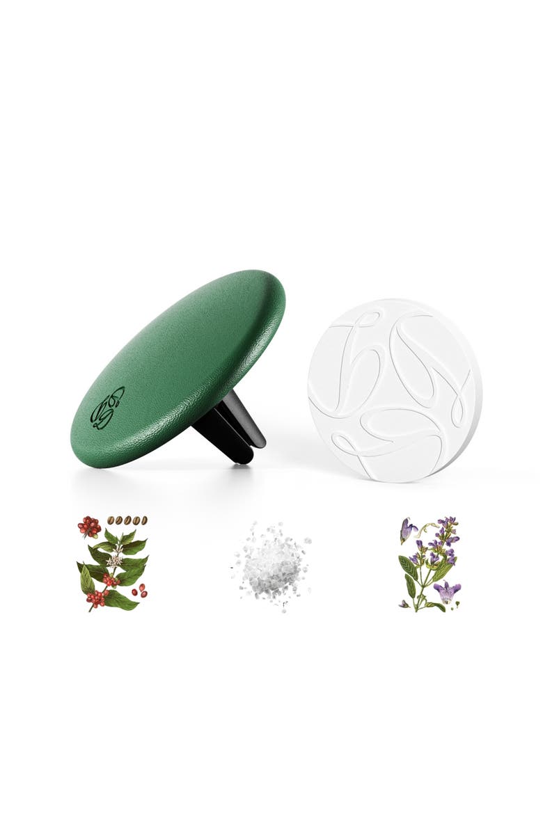 Delfino Sage Green Lambskin Car Diffuser and Insert, Main, color, Regular