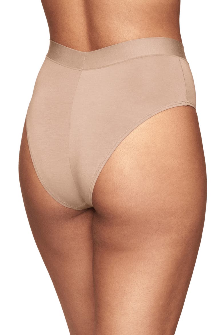 The Highwaist High Cut Modal Briefs, Alternate, color, TAUPE