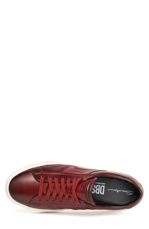 Santoni Burnished Colorblock Sneaker In Dark Red