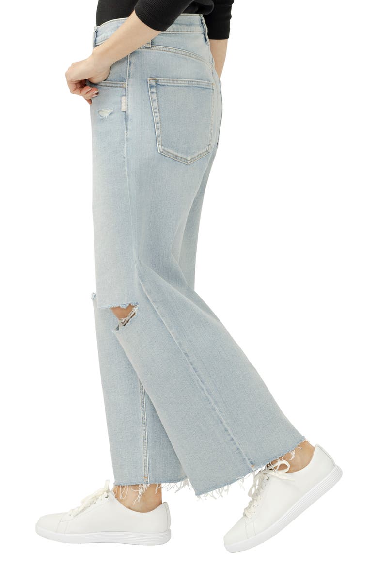 Be Easy Raw Hem Crop Wide Leg Jeans, Alternate, color, MALAGA
