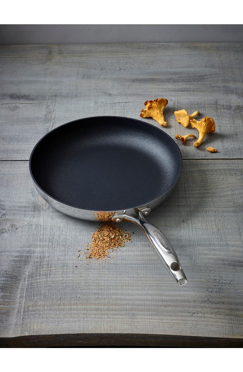 Scanpan Haptiq Stainless Steel Nonstick 10.25-Inch Fry Pan, Alternate, color,