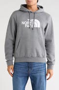 The North Face Evolution Half Dome Regular Hoodie
