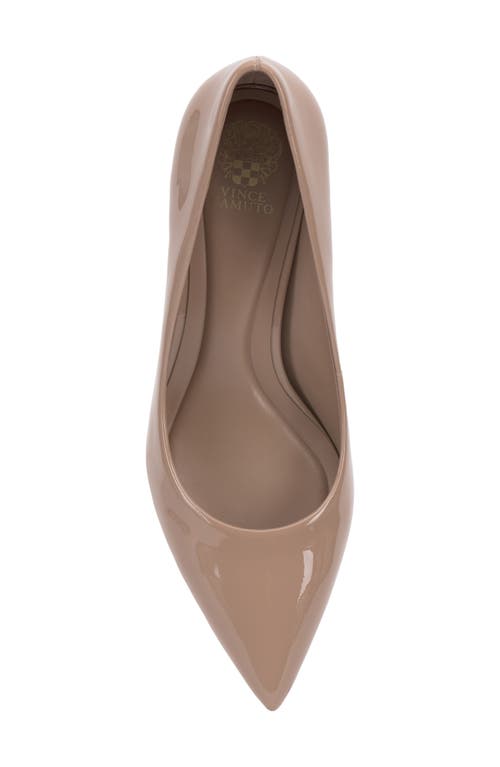 Vince Camuto Kehlia Pointed Toe Pump