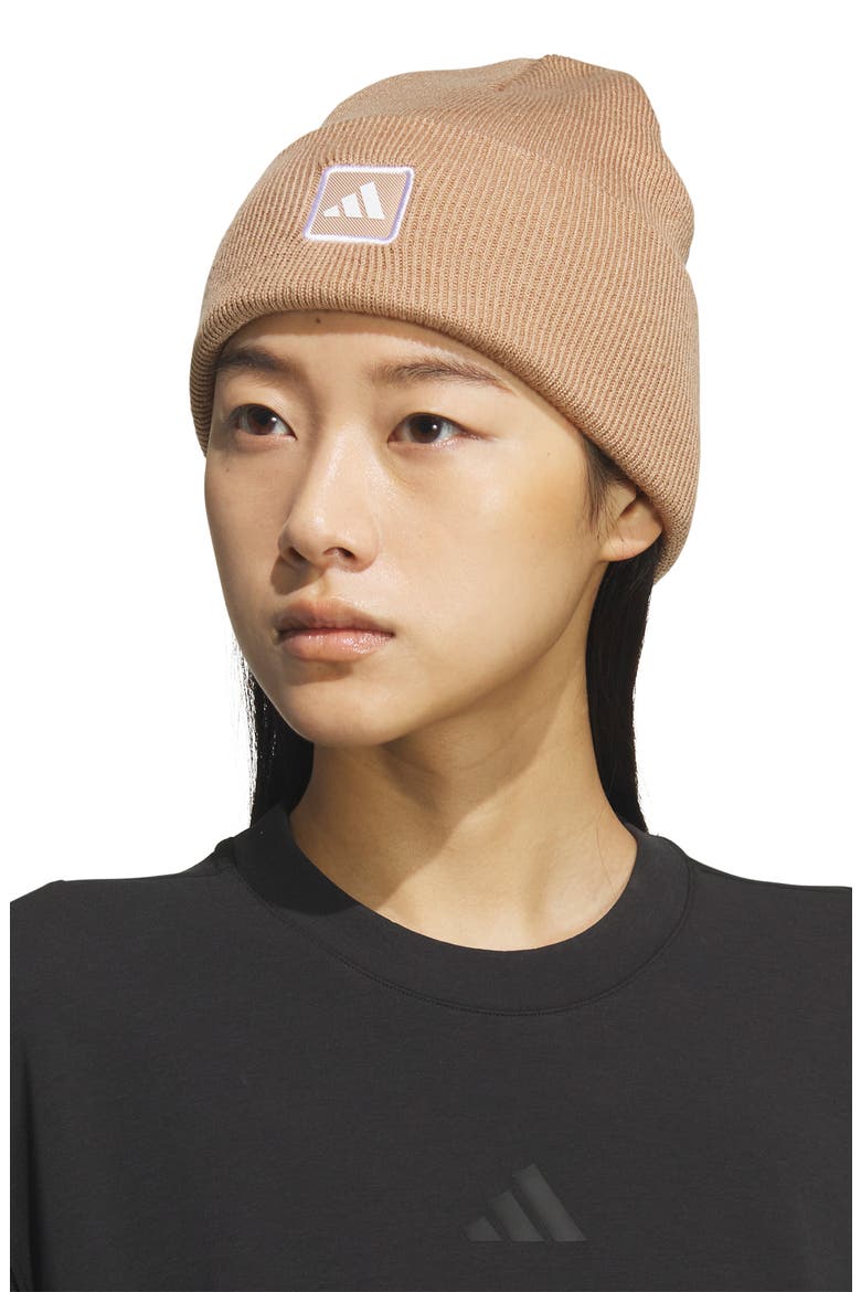 Performance Wide Cuff Beanie, Alternate, color, MEDIUM BEIGE