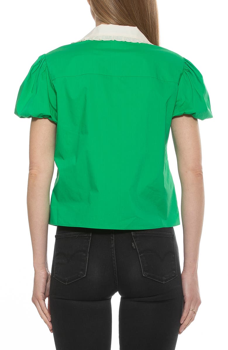 Alexia Admor Sandra Short Sleeve Button-Up Blouse, Alternate, color, Green