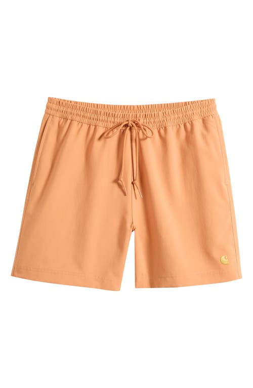 Carhartt Work In Progress Chase Swim Trunks In Brown