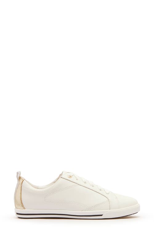 Frankie4 Asher Sneaker