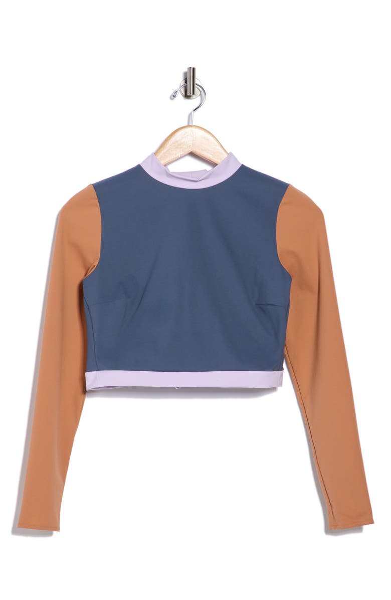 Vitamin A<sup>®</sup> Cleo Long Sleeve Crop Rashguard, Alternate, color, Grey Pearl