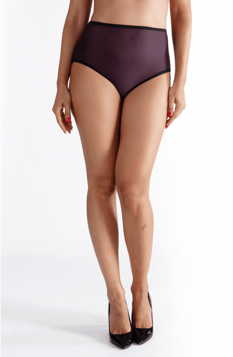 LECHERY<sup>®</sup> Lustrous Sheer High-waisted Brief, Main, color, Black