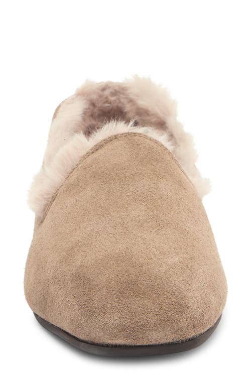 Shop Aquatalia Romie Faux Fur Lined Loafer In Light Taupe