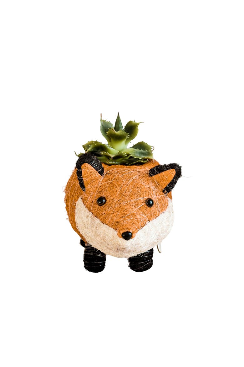 Woodland Animal Coco Coir Planters, Alternate, color, Orange