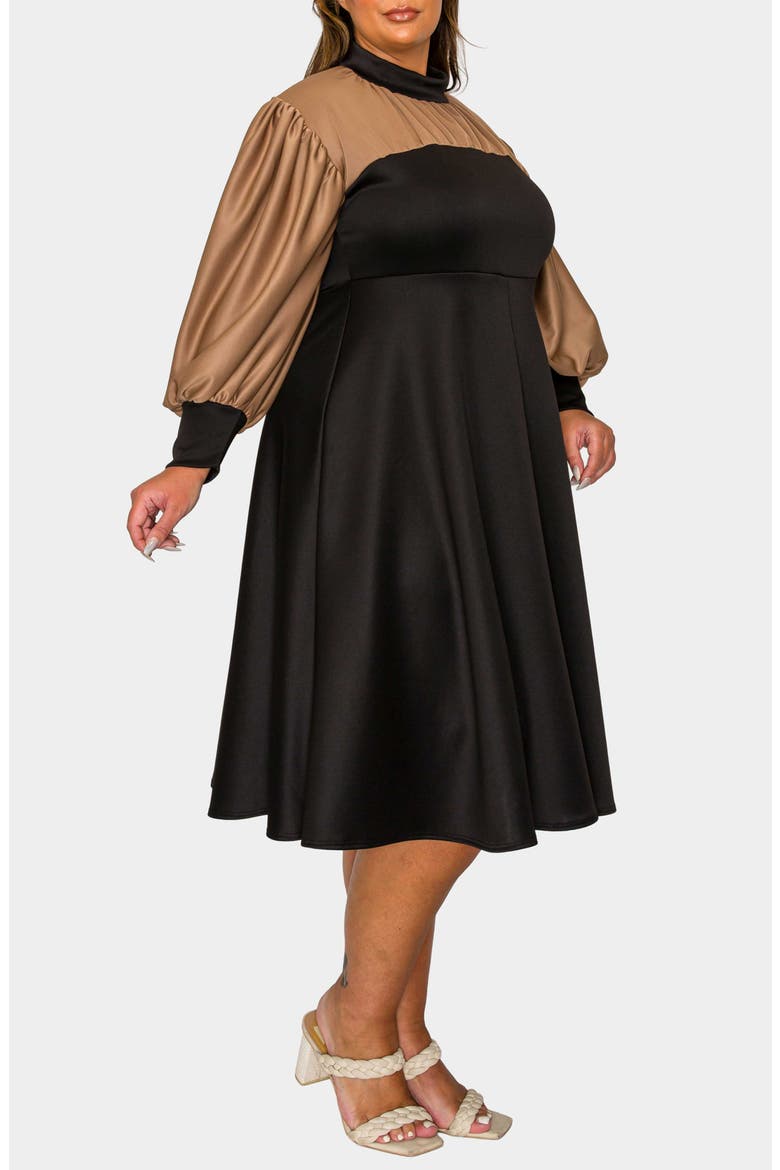 Calissa Colorblock Fit & Flare Dress, Alternate, color, BLACK MOCHA