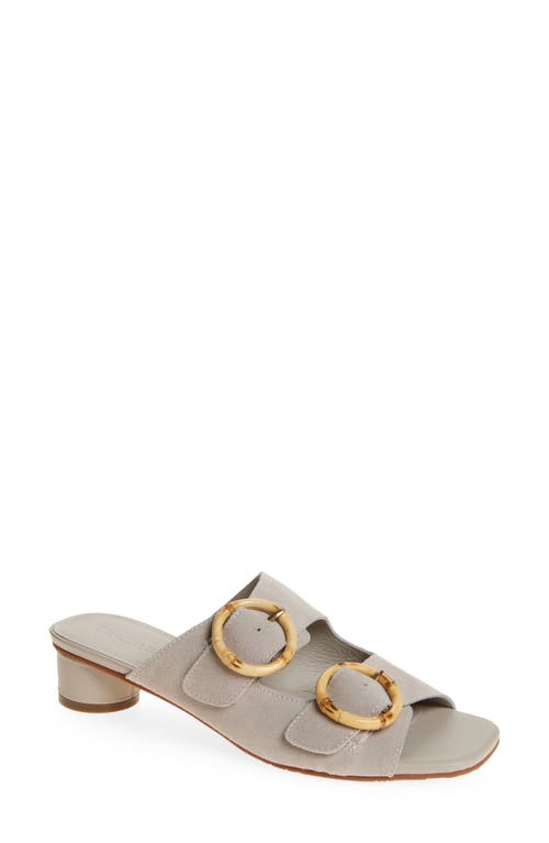 Chocolat Blu Eliza Sandal In Cloud Suede