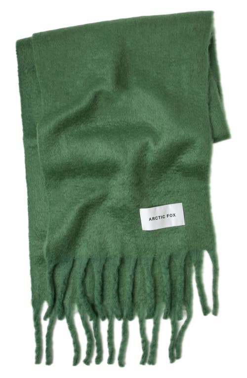 Arctic Fox & Co. Arctic Fox & Co The Stockholm Fringe Scarf In Green