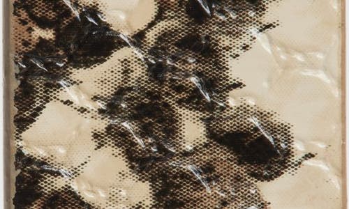 Nordstrom Snakeskin Print Faux Leather Belt In Taupe Snake