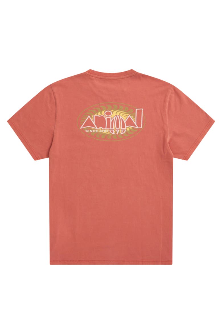 Chase Relaxed Fit T-Shirt, Alternate, color, Burnt Orange