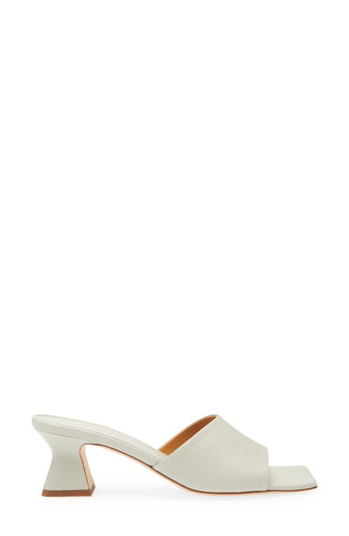 Aeyde Ale Slide Sandal In Green