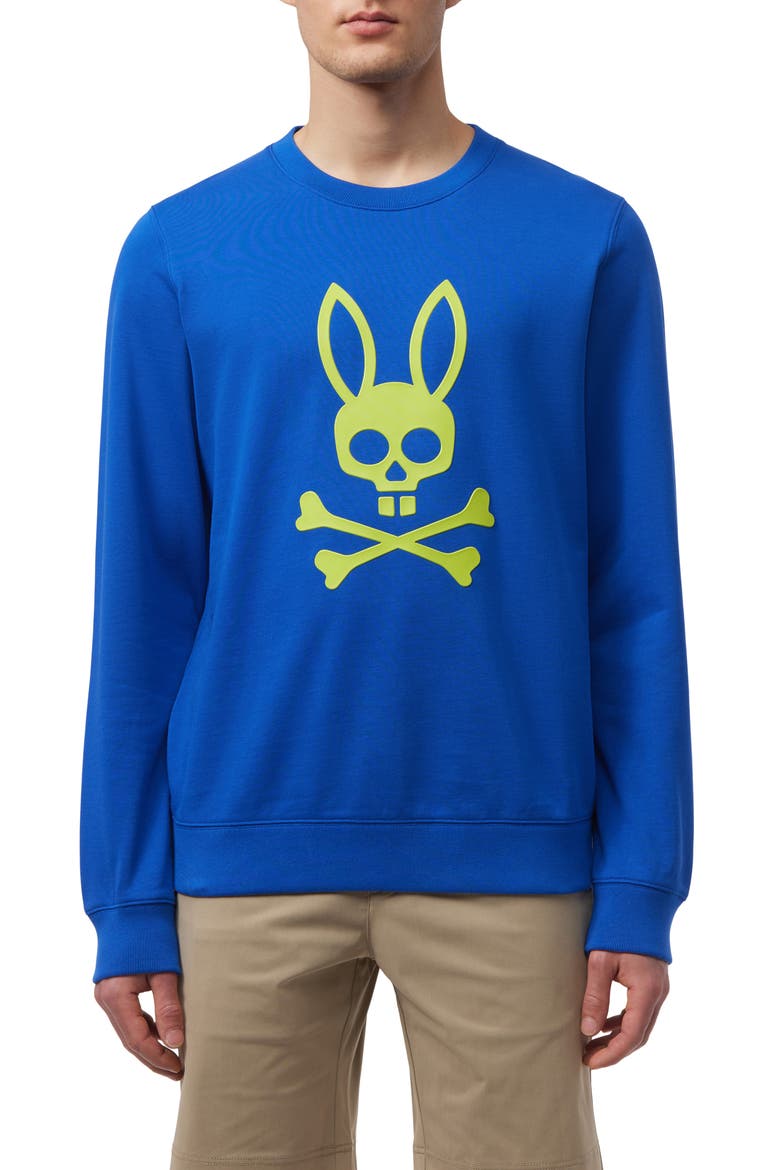 Posen Puff Logo Cotton French Terry Graphic Sweatshirt, Main, color, SURF THE WEB