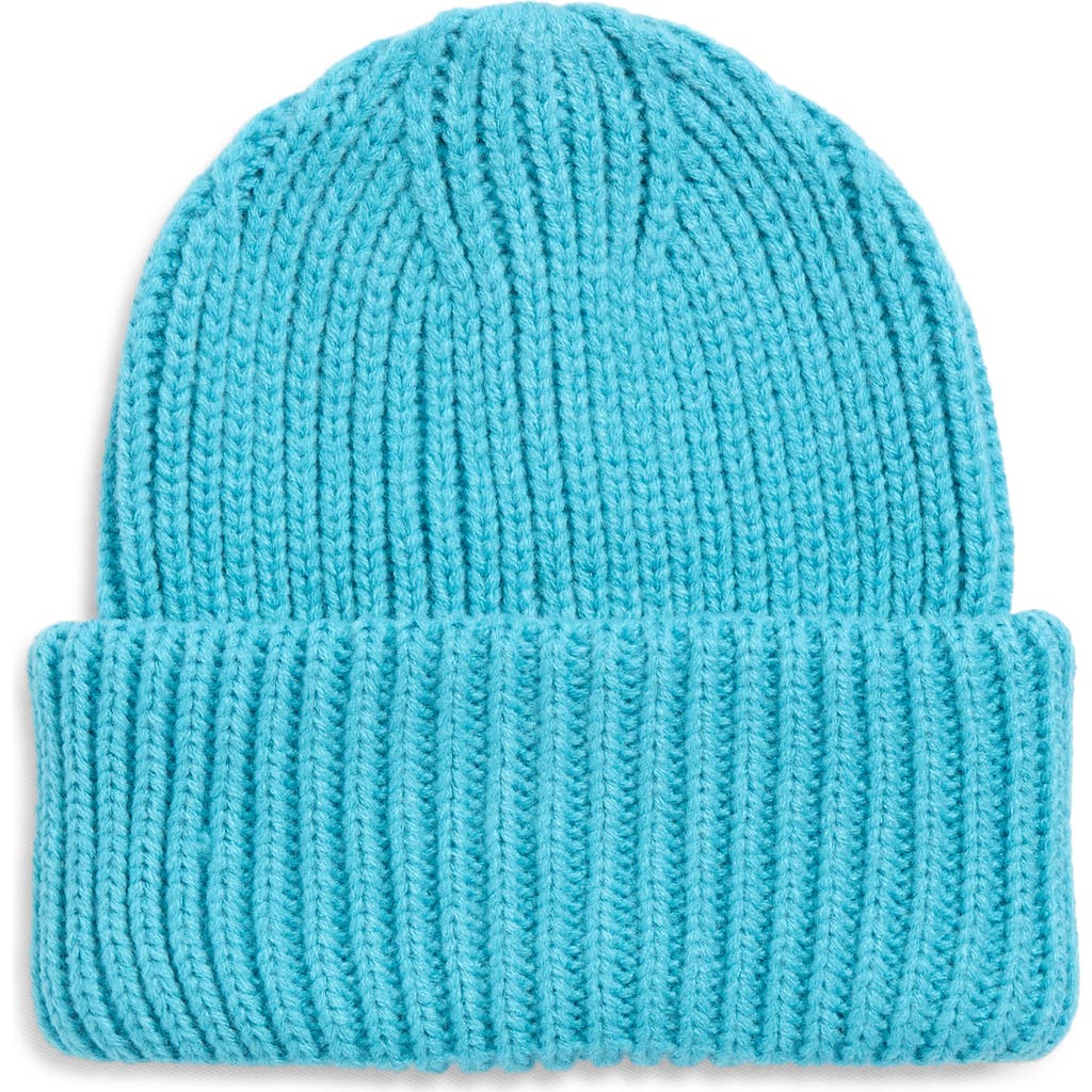 Treasure & Bond Classic Knit Cuffed Beanie In Blue