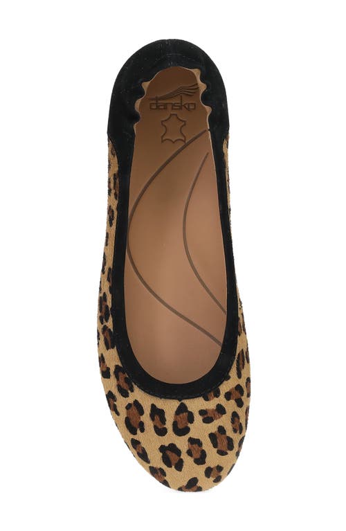Dansko Madisen Geniune Calf Hair Ballet Flat In Animal Print