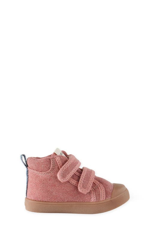 Pehr Kids' Field Trip Sneaker In Pink