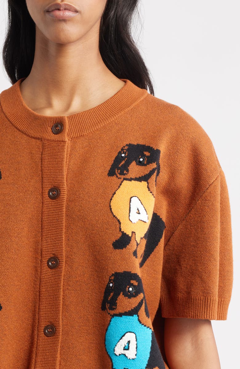 Dressed in Lala Weenie Dog Cardigan, Alternate, color, Brown