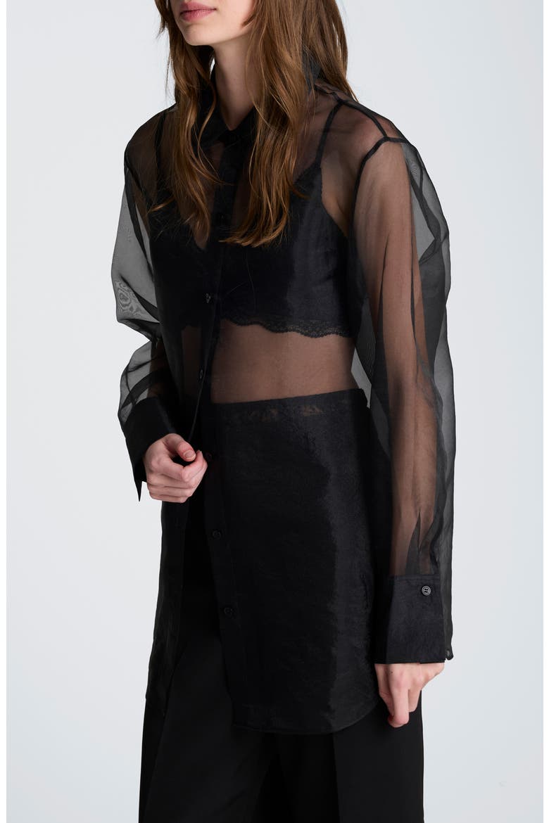 Sheer Oversize Button-Up Shirt, Alternate, color, BLACK