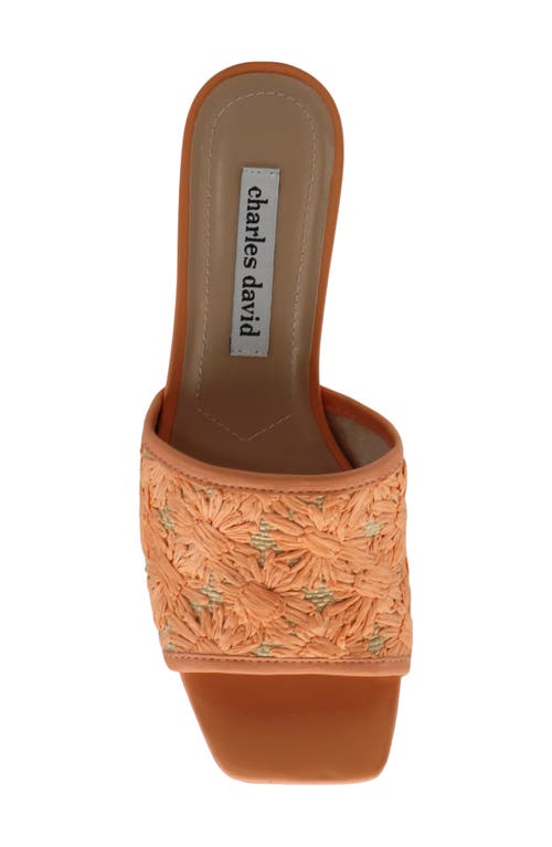 Charles David Raffi Slide Sandal In Coral