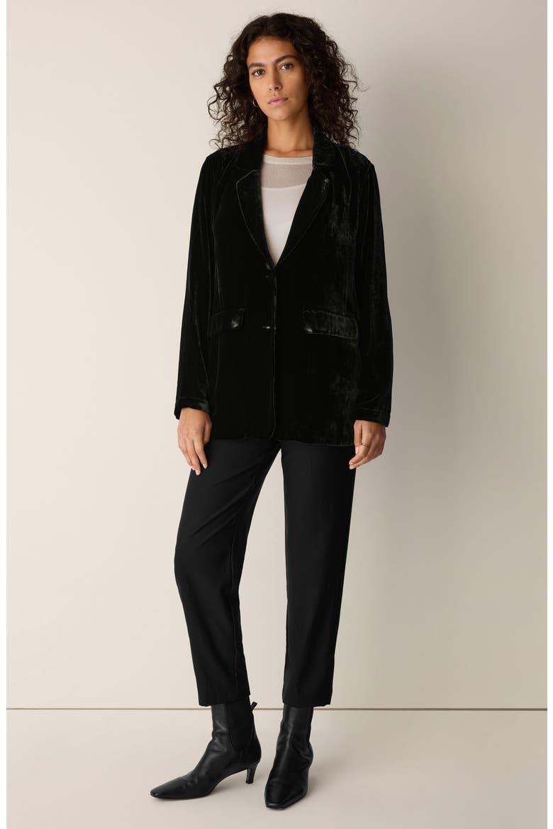Velvet Long Blazer, Alternate, color, BLACK