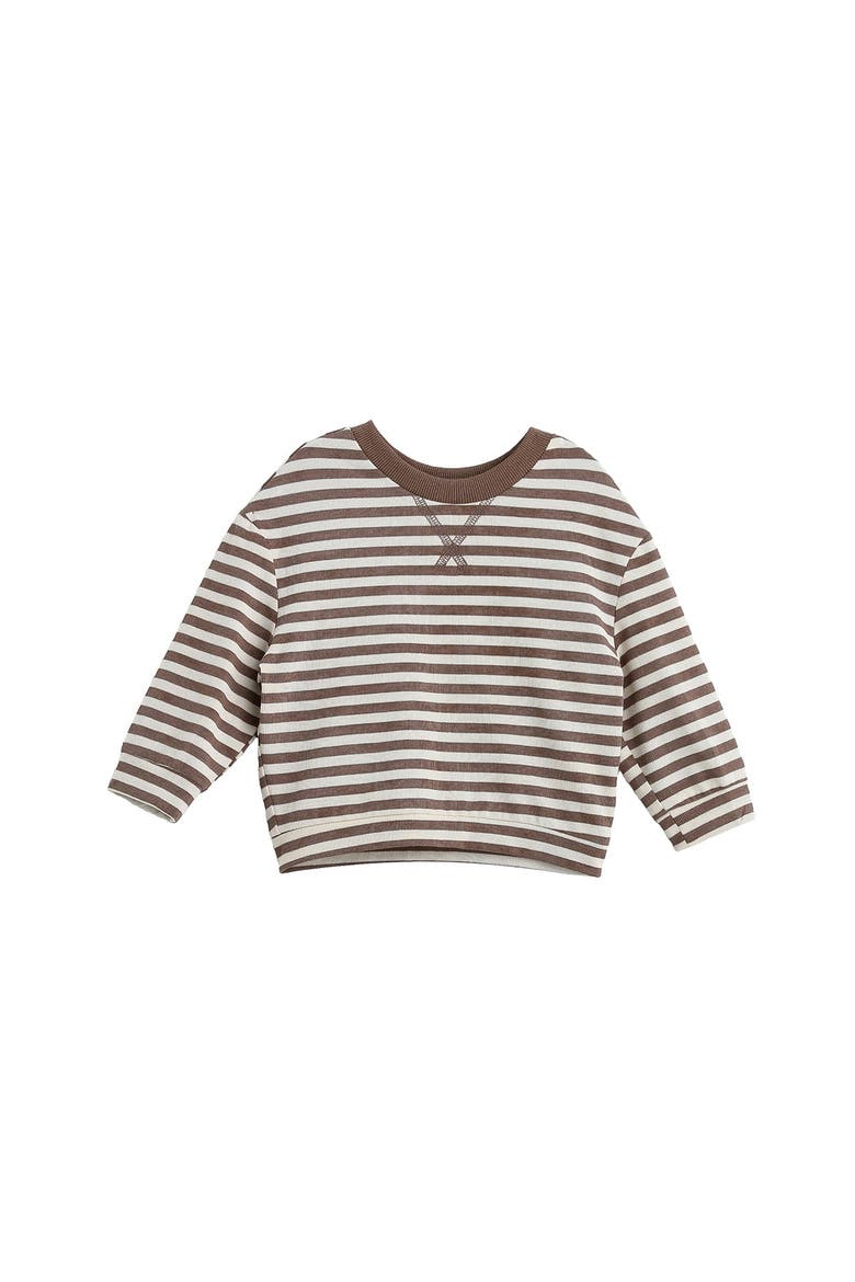 Max Long Sleeve Striped Raglan Ribbed Crew Neck Top, Alternate, color, Brown