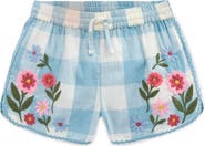 Mini Boden Kids' Embroidered Cotton Shorts