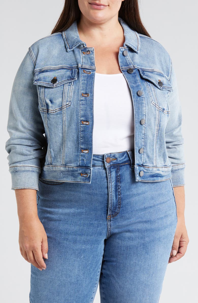 Universal Standard Kelsey Denim Jacket, Main, color, Light Blue