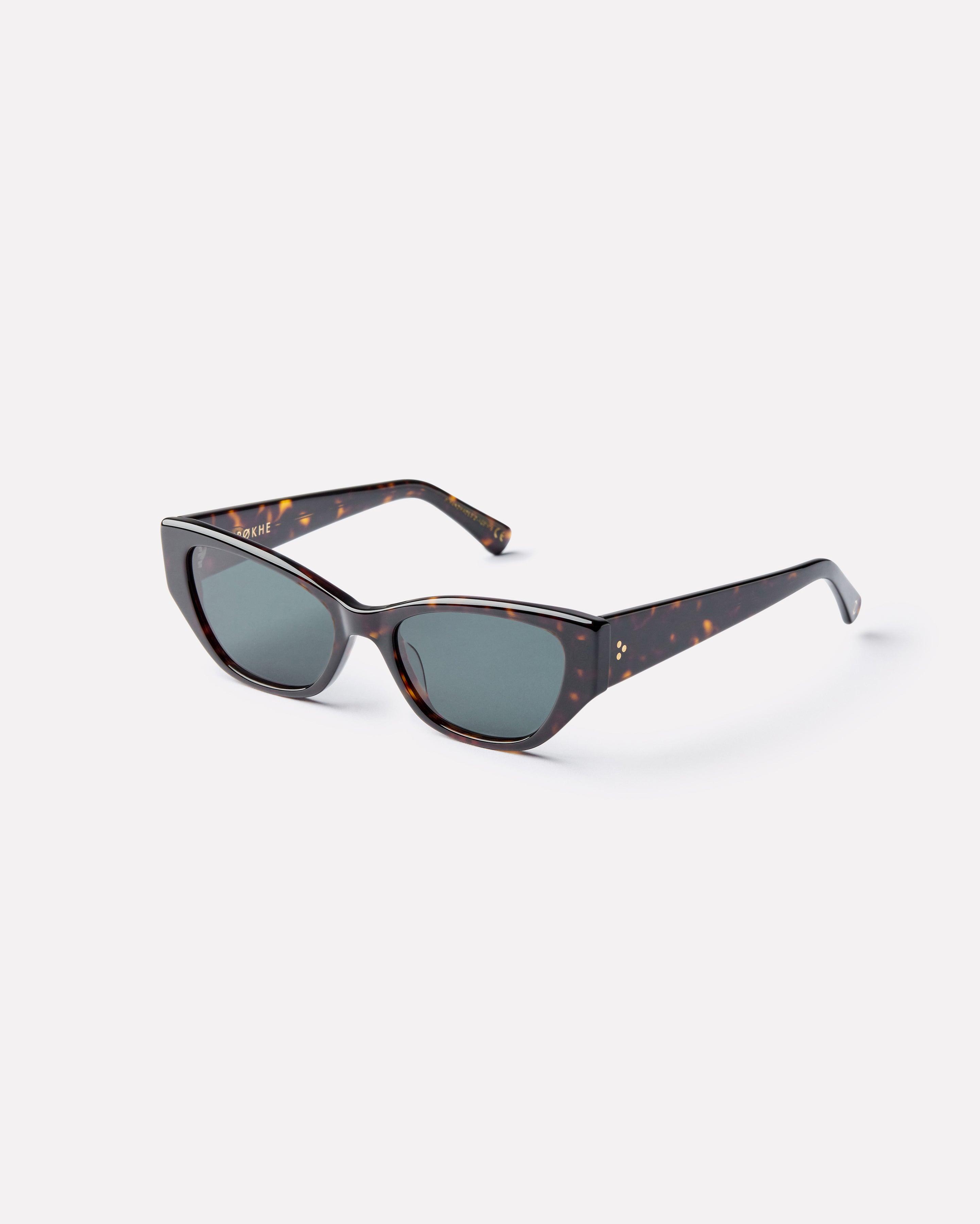 selected Dark Tortoise