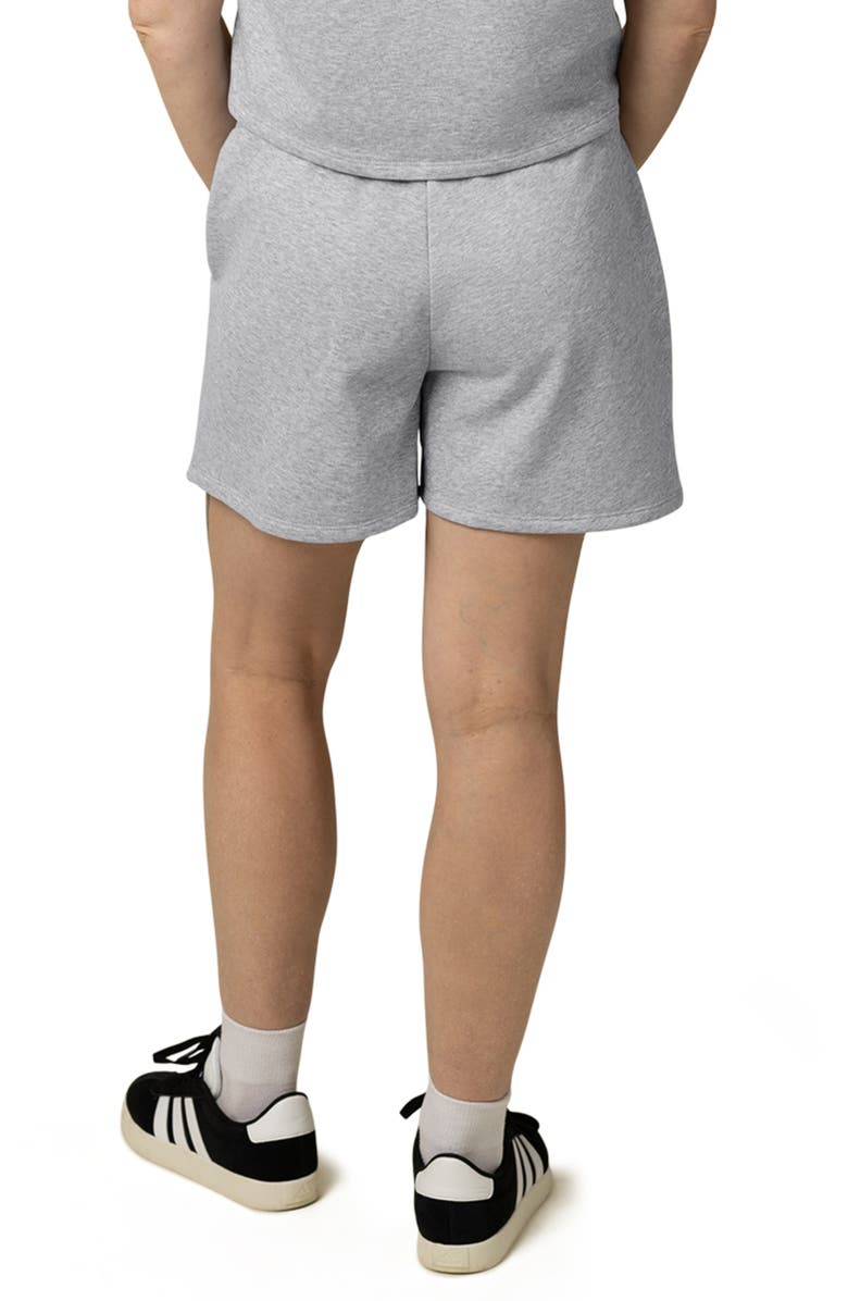 Kindred Bravely French Terry Sleeveless Nursing Hoodie, Alternate, color, Grey Heather