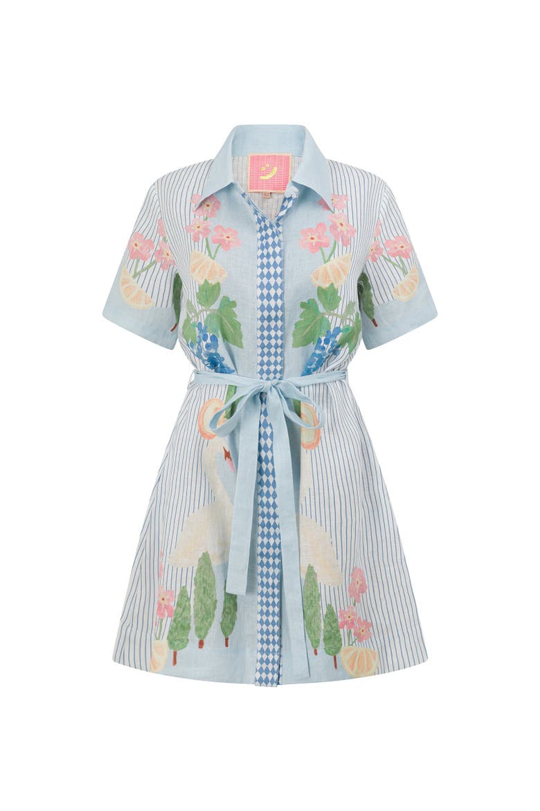 Swan Lake Mini Shirt Dress, Main, color, Light Blue
