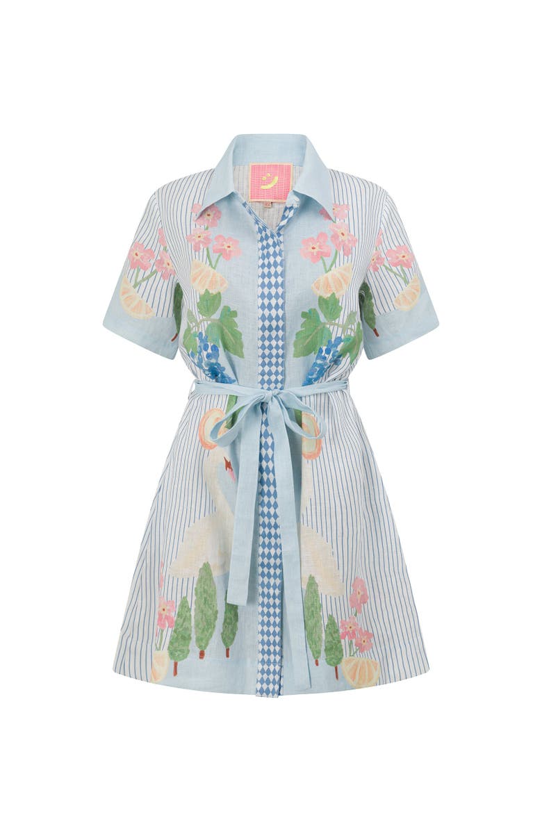 SMWR. By The Somewhere Co Swan Lake Mini Shirt Dress, Main, color, Light Blue