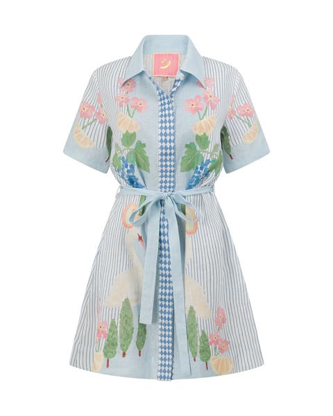 Swan Lake Mini Shirt Dress