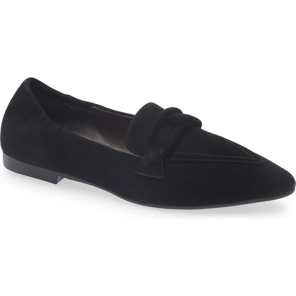 Cordani Miriam Pointed Toe Loafer In Black