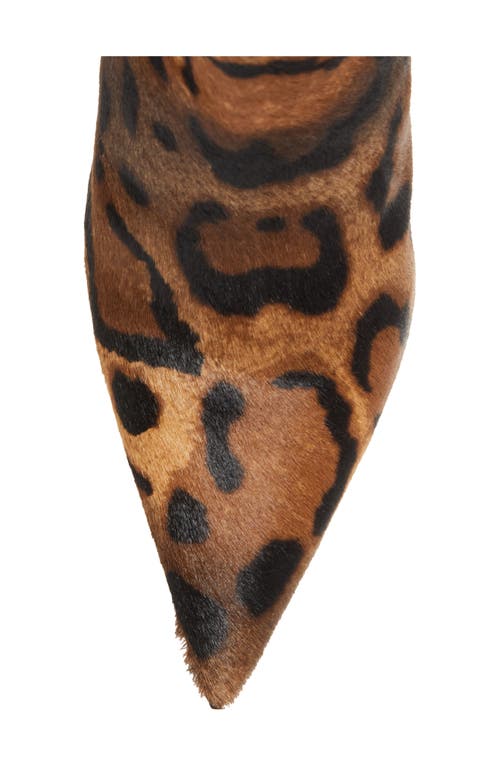 Christian Louboutin Miss Z Genuine Calf Hair Pointed Toe Bootie In Brown