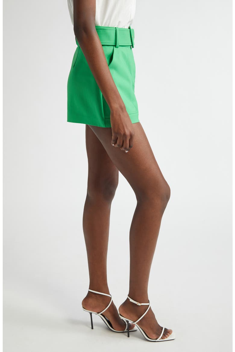 Kasey Belted Shorts, Alternate, color, TROPIC GREEN