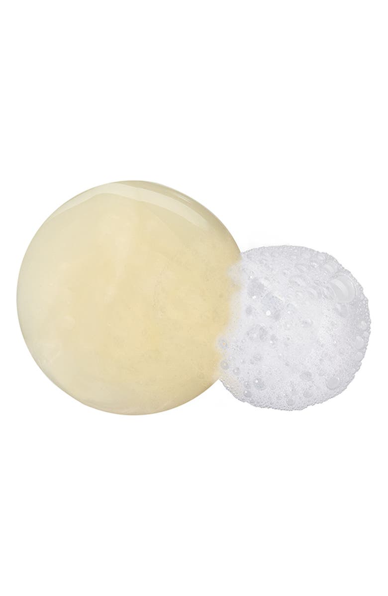 PHYTO Phytheol Dry Hair Anti-Dandruff Purifying Shampoo, Alternate, color,