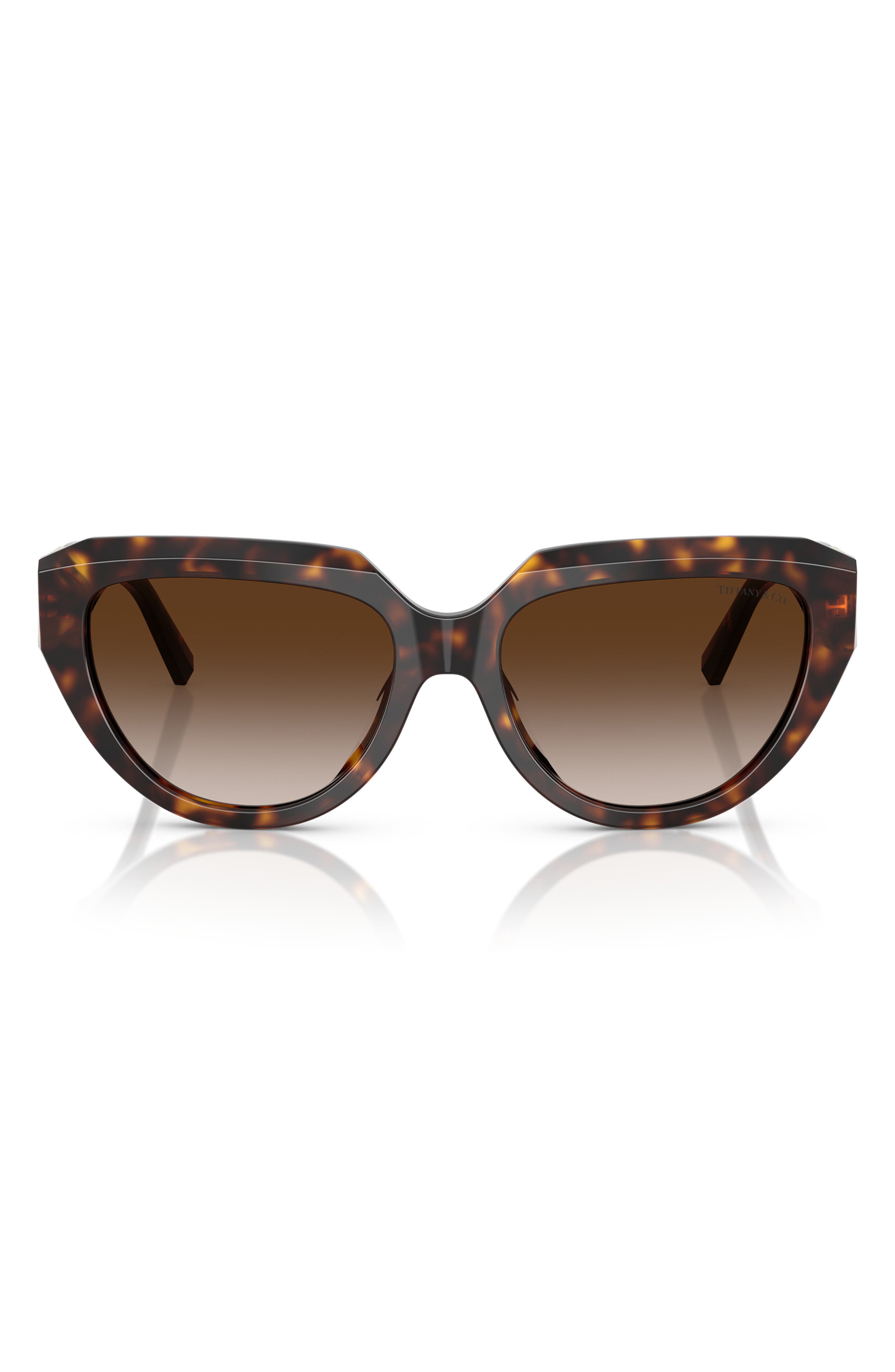 HAVANA / BROWN GRADIENT
